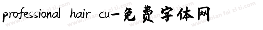 professional hair cu字体转换